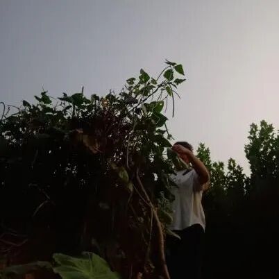 8df7f7dd512cc23066769b84276d0c3f.jpg 009.jpg