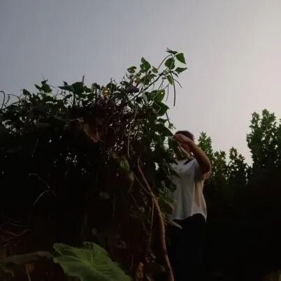 afb2e9818eafea1eead9d23788d740d5.jpg 005.jpg