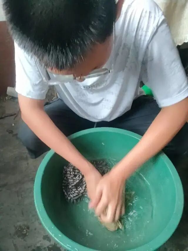 003.jpg
